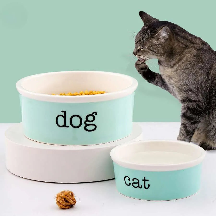 Pet Bowls And Feeding