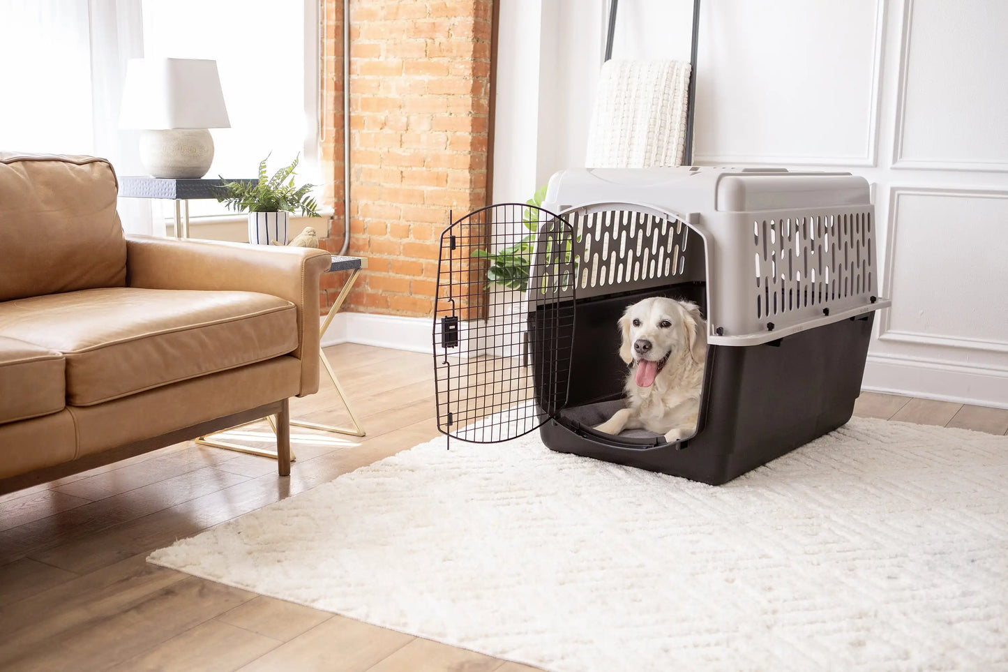 Vibrant Life Pet Kennel Large 40" Dog Crate, Plastic Travel Pet Carrier for Pets 70-90 lb, Grey