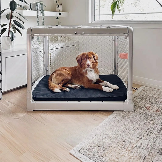 Dog Crate I Collapsible Dog Crate I Portable Travel Crate and Kennel for Medium/Large Dogs and Puppies